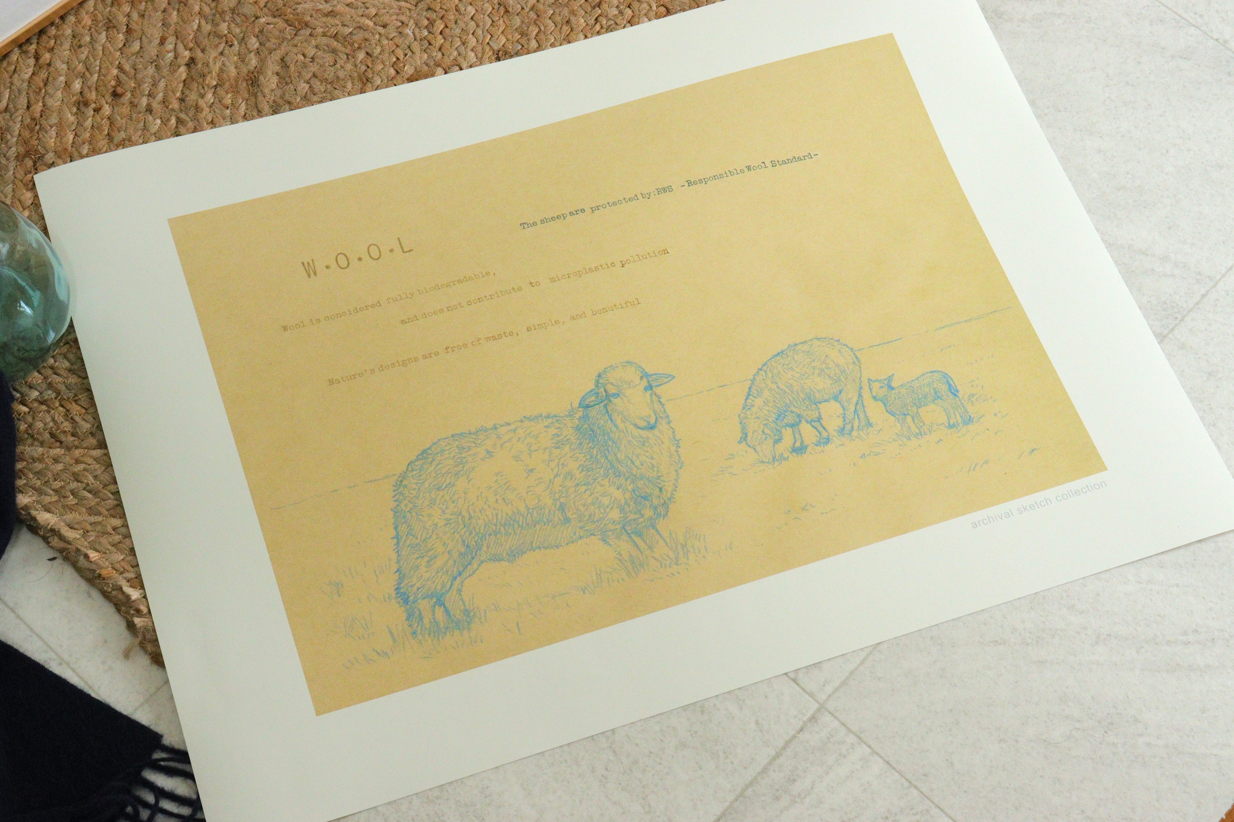 Archival Sketch Collection