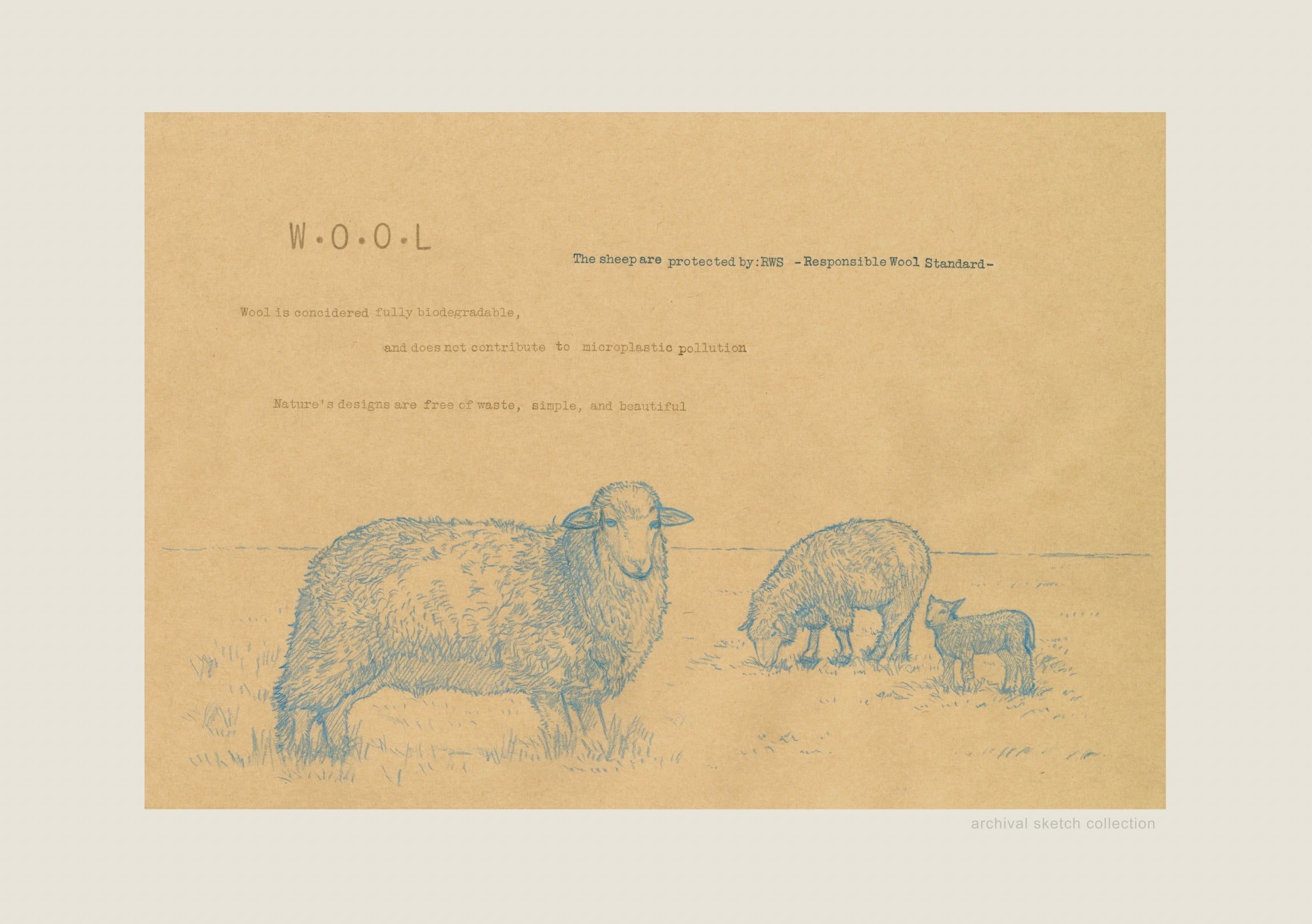 Archival sketch collection / W.O.O.L