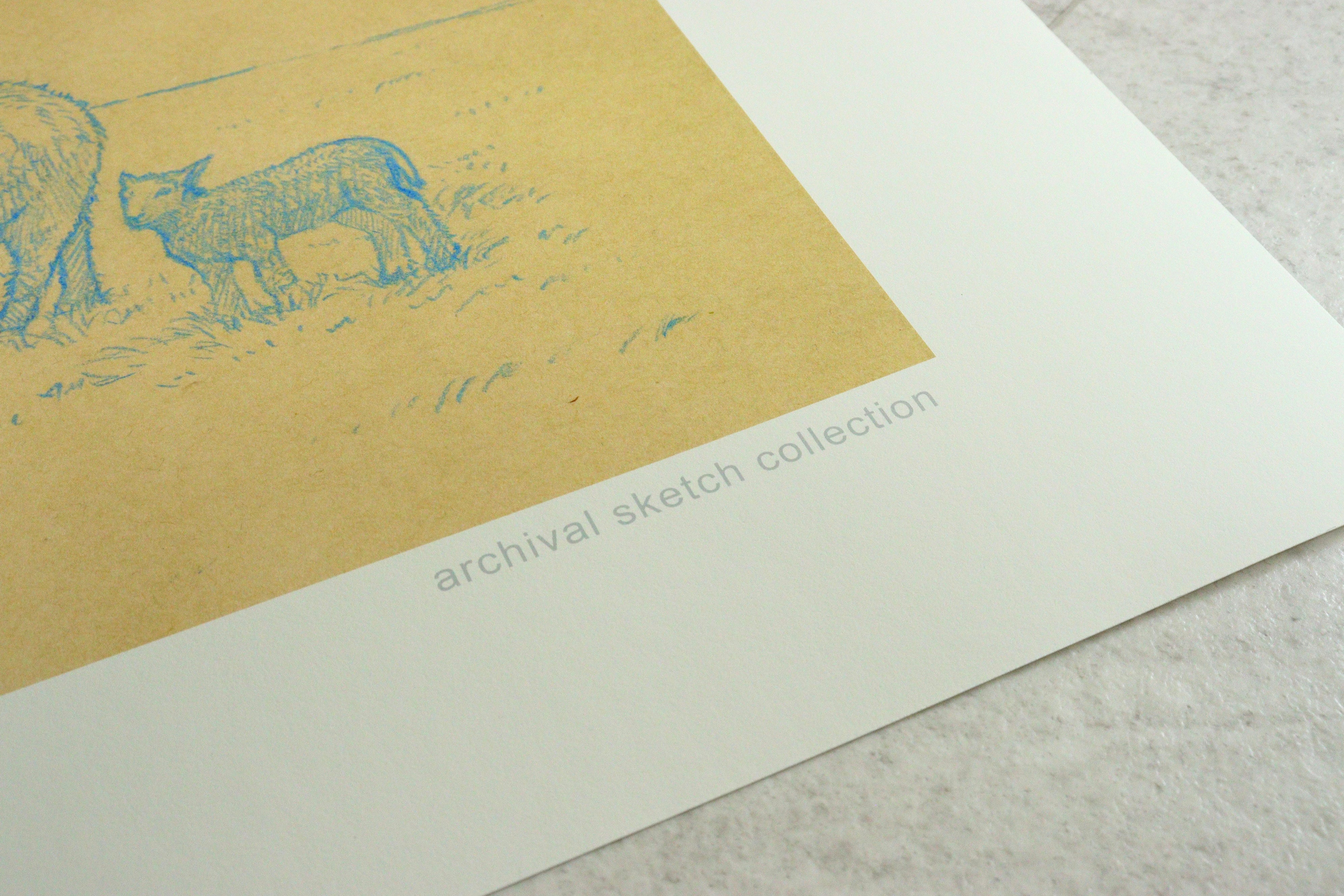 Archival sketch collection / W.O.O.L