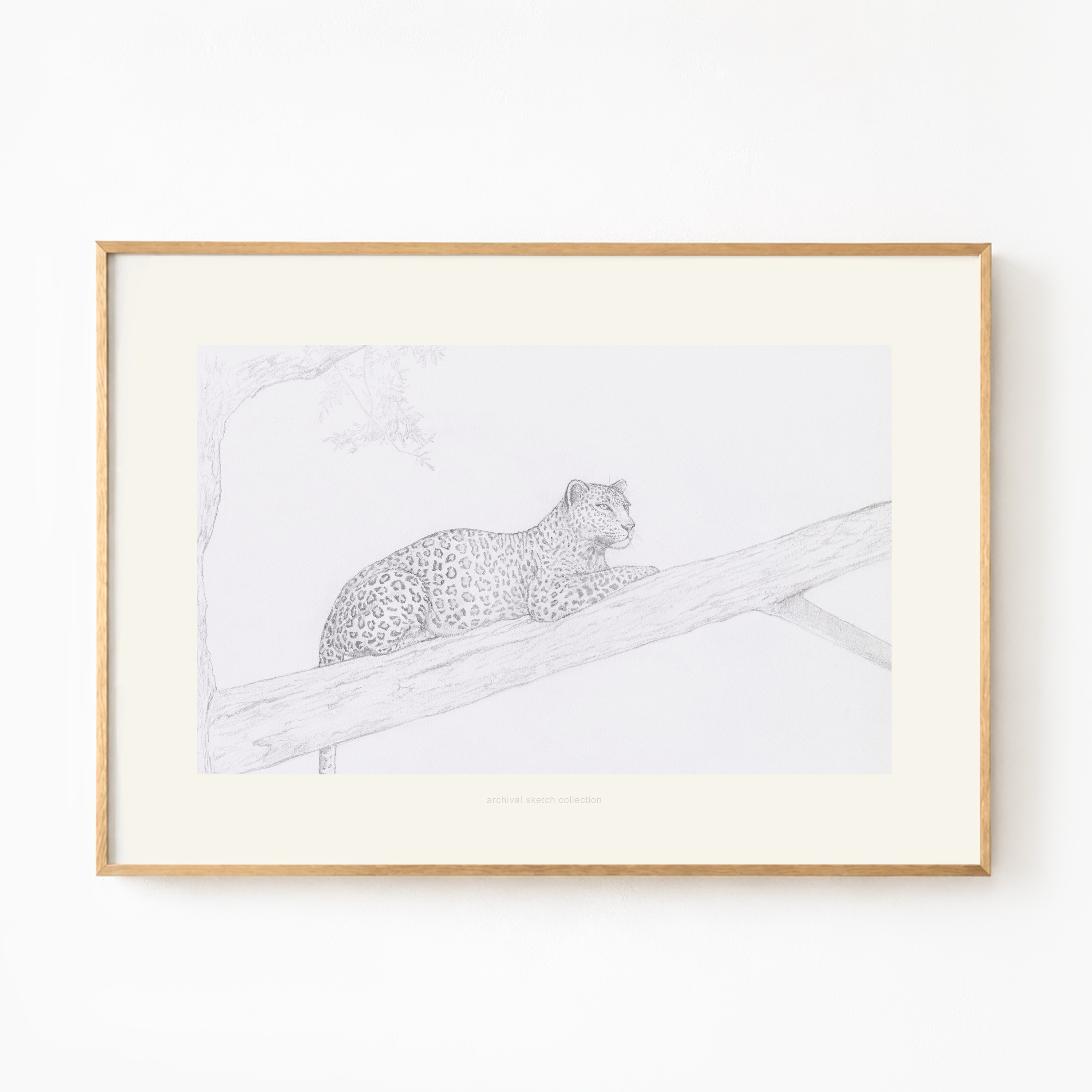 Archival sketch collection/N.O.B.L.E