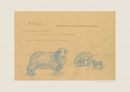 Archival sketch collection / W.O.O.L