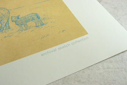 Archival sketch collection / W.O.O.L