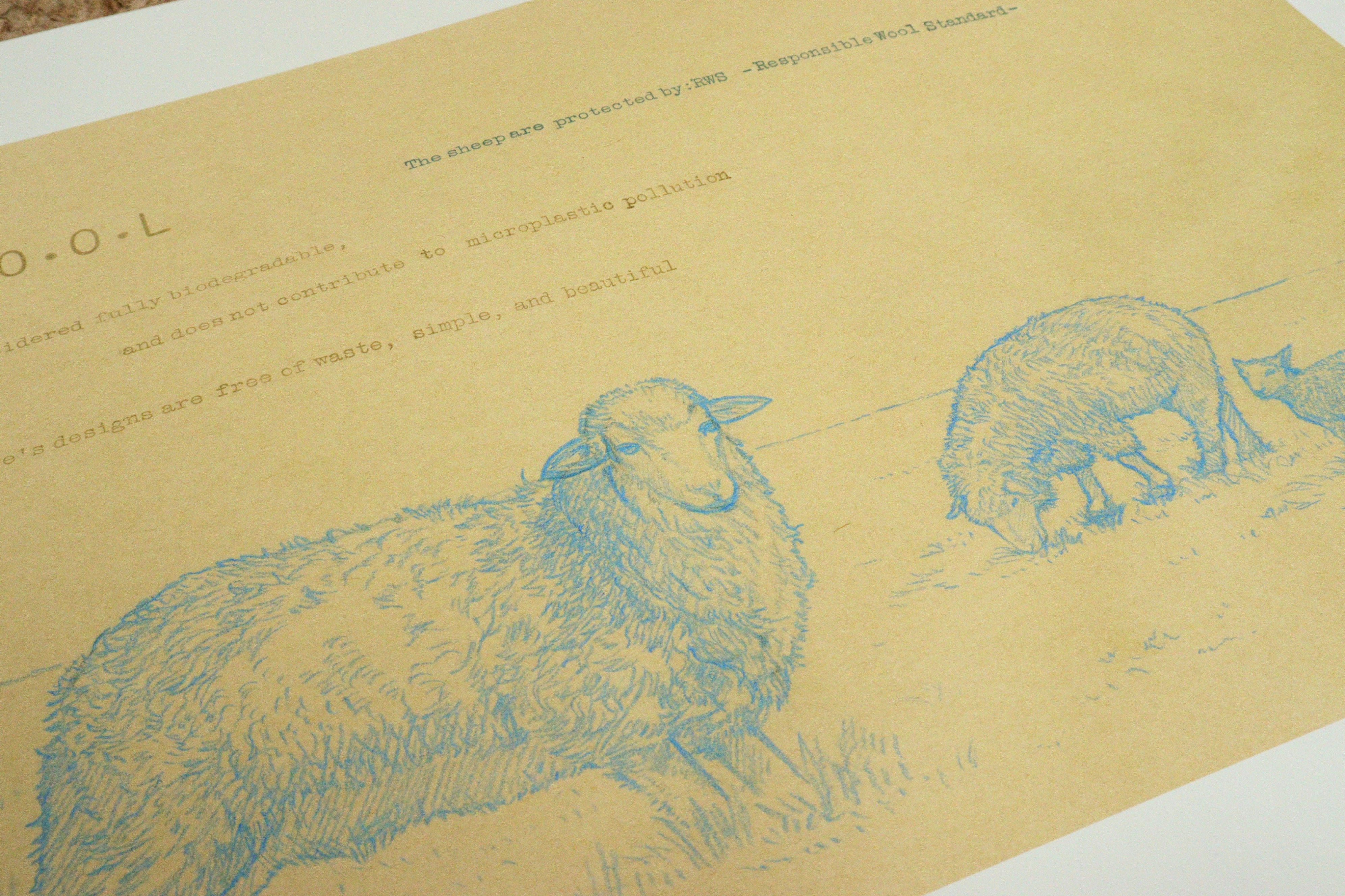 Archival sketch collection / W.O.O.L