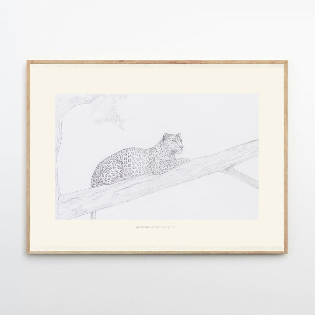 Archival sketch collection／N.O.B.L.E