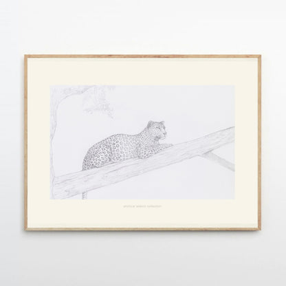 Archival sketch collection／N.O.B.L.E