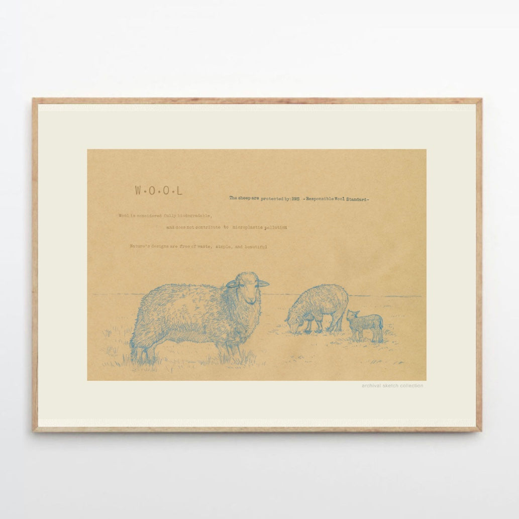 Archival sketch collection / W.O.O.L