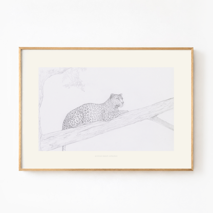 Archival sketch collection／N.O.B.L.E