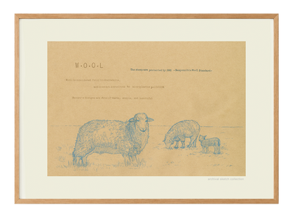 Archival sketch collection / W.O.O.L