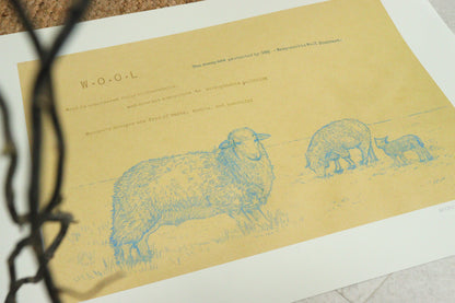 Archival sketch collection / W.O.O.L