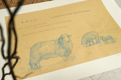 Archival sketch collection / W.O.O.L